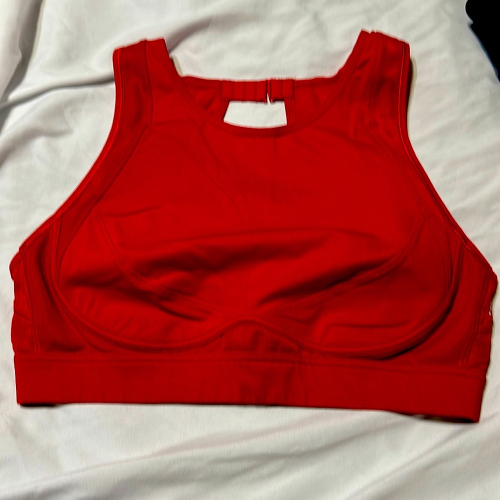 Fabletics sport bra